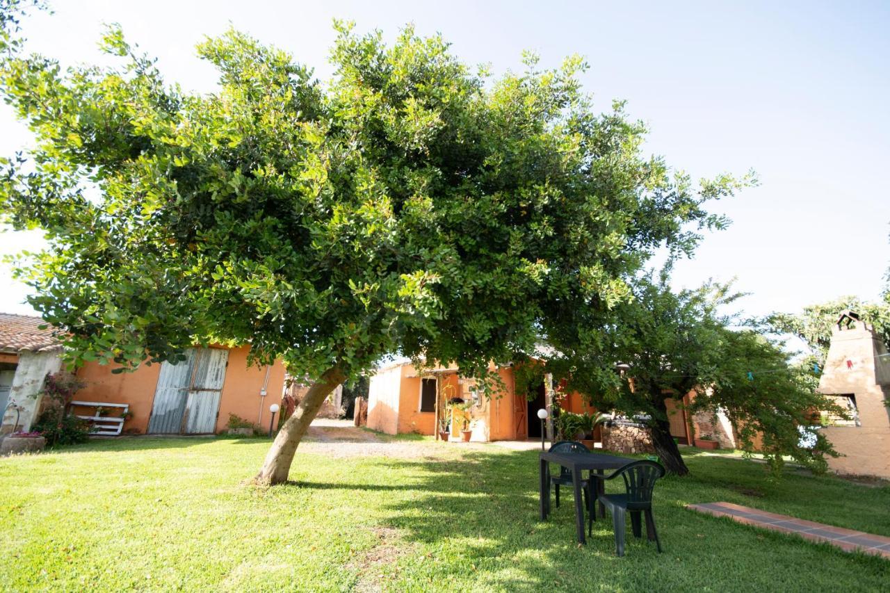 Is Cuccus Bed and Breakfast Masainas Εξωτερικό φωτογραφία